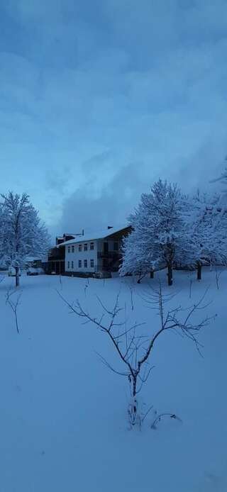 Гостевой дом Guest House Tavaduri Местиа-2